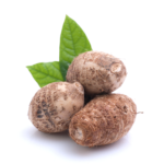 Taro Roots