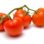 Vine Tomato